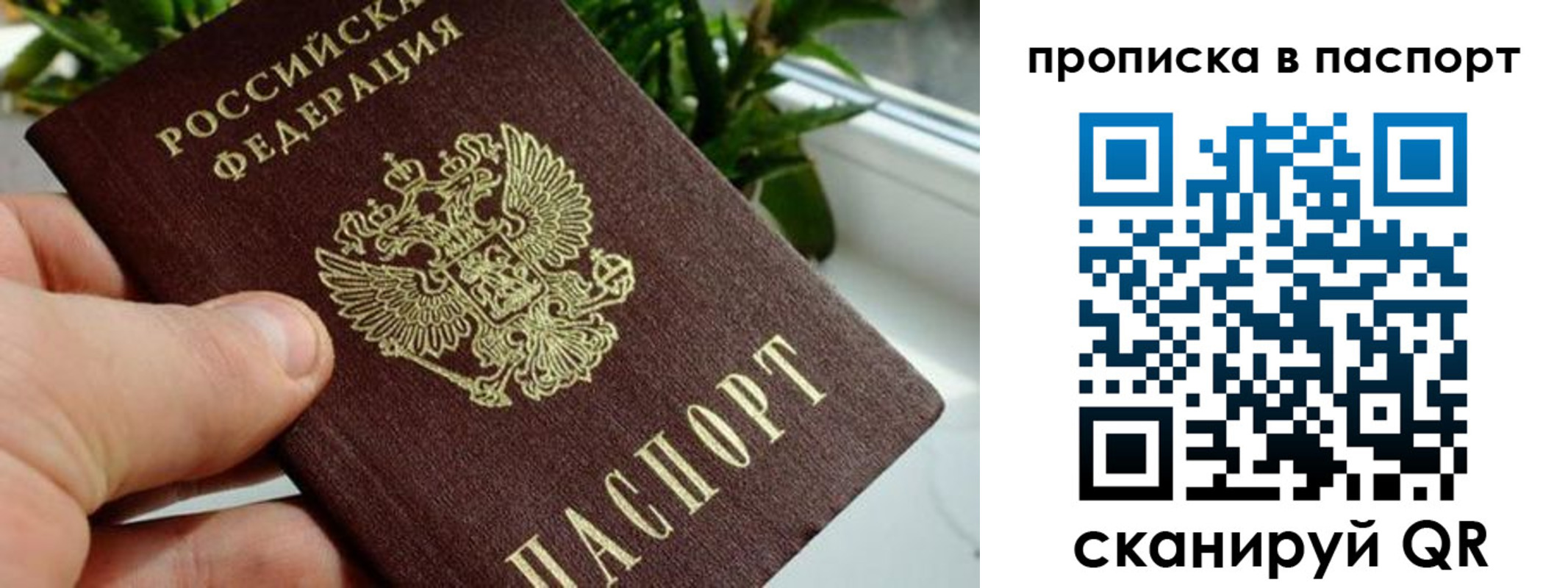 временная регистрация поиск в Каменск-Шахтинском